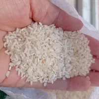 برنج سرلاشه اصل طارم هاشمی عطری ودرشت