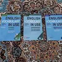vocabulary in use
