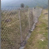 نیازمند کارگر بنا ساده روزانه