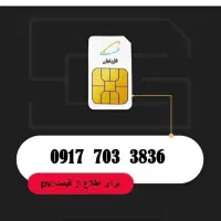 09177033836