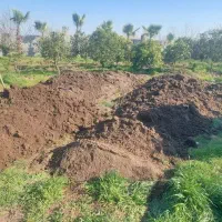 خاک باغچه مرغوب پودری درجه یک