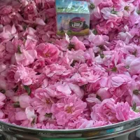 گلاب|خوردنی و آشامیدنی|مشهد, موعود|دیوار