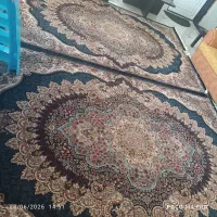 دوتخته فرش شش متری طرح ارکیده