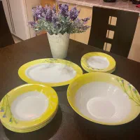 سرویس ارکوپال لومینارک ارجینال فرانسه مدل ویتا