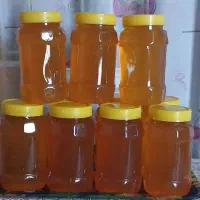 عسل