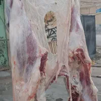 گوشت خورشتی چاق چاق 900