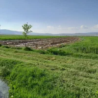 فروش و اجاره زمین کشاورزی آبی