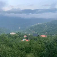 زمین خام شیروانه ۱۵۰متر مربع در حال تفکیک