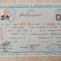مدرک تحصیلی دیپلم تا دکترا
