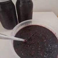 مربا شاتوت