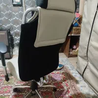 صندلی|صندلی و نیمکت|گرگان, |دیوار