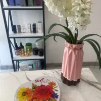 نیروی خدماتی خانم