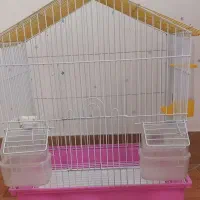 قفس پرنده