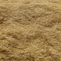 کاه گندم درجه یک