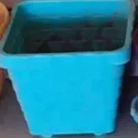 گلدون خیلی بزرگ لازم ندارم