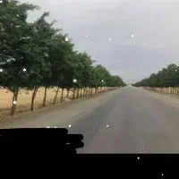 زمین استان (البرز)باموقعیت عالی