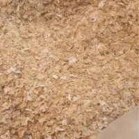 سبوس گندم