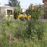 پیاده روی و طبیعت گردی داوطلبانه