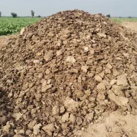 فروش کودمرغی سالنی گوشتی درجه یک