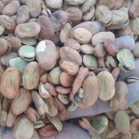 باقلا|خوردنی و آشامیدنی|شوشتر, |دیوار