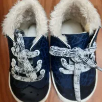 کفش و پاپوش