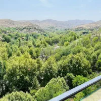 زمین باغ طرقبه