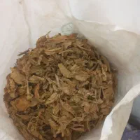 برگ زرد