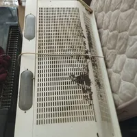 هود کتابی