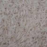برنج|خوردنی و آشامیدنی|رشت, کوی حسینی|دیوار