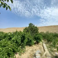 فروش-باغ-میمی-به-متراژ-هزار-متر-مربع