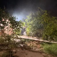 زمین باغی و باغچه