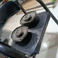 باند پایونیر در حد صحیح سالم