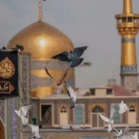 کاروان مشهد مقدس شهادت حضرت رقیه