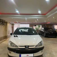 ۲۰۶ تیپ دو بی رنگ