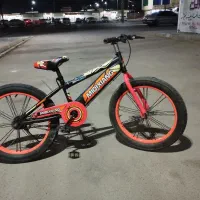 دوچرخه۲۰حرفه ای