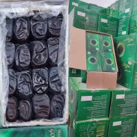 فروش خرما جعبه ای وکارتونی