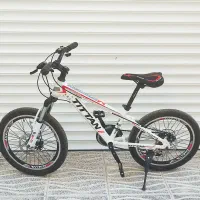 دوچرخه 20 تیتان اصل