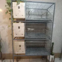 قفس پرنده