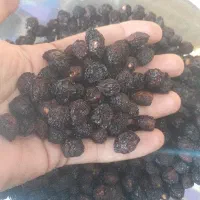 گیلاس  خشک تکدانه