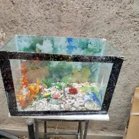 اکواریوم با لوازم مناسب