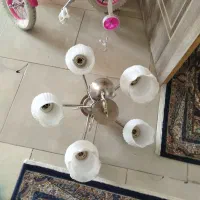 لوستر|لوستر و چراغ آویز|پردیس, فاز ۸|دیوار