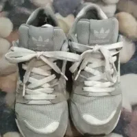 zx8000 فیلی سایز ۳۸