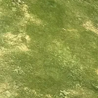 زمین ۲۰۰ متر فکوری هشت قصبی