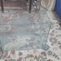 اکفاریم ماهی