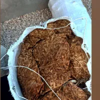 برگ خشک شده گل