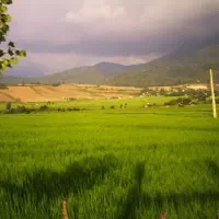 بیجار-پشت-فرودگاه