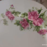 پیش دستی و خوروش گل سرخی