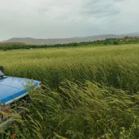 علوفه جودر و پرس