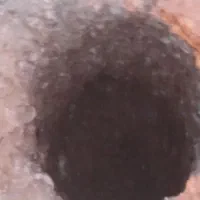 هفر چاه فاضلاب وتا عمق12