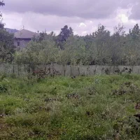 فروش زمین دوبر ۲۵۳ متر نزدیک مسکونی املاک آراد